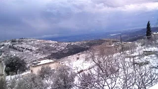 وفيق حبيب مع الداعور اجمل وصلة عرب وعتابا 