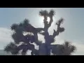 Mount Kimbie - The Sunset Violent (Full Album)