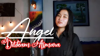 Download DITIKAM ASMARA || ANGEL || adindakids dangdut class MP3