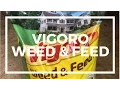 Vigoro Weed And Feed Review