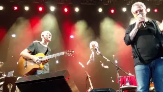 קורות חייו של סינגולדה ובניו מפי שלמה ארצי 