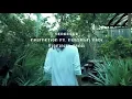 Download Lagu Serangga (feat. Yadi Nursalim)