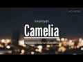 Download Lagu ♫ Sudahlah Jangan Menangis Lagi Ku Rasa Cukup Sampai Disini | Camelia - Irwansyah (karaoke akustik)