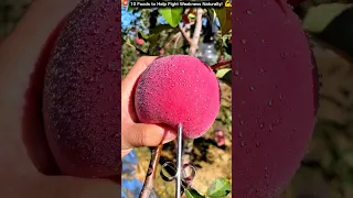                                                                             دندنها