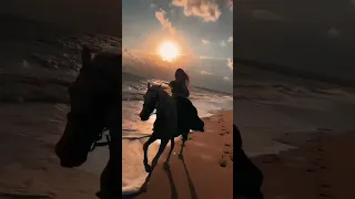 مهرة تعرف خي الها اقتباسات اكسبلور ستوريات Algerie خيل Explore الجزائر 