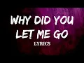 Lagu RF - Why Did You Let Me Go – When I Needed You the Most (Official Lyric Video)