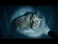 Ice Age Characters in Real Life Found Footage