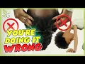 Download The Science of the Inversion Method | NATURAL HAIR mp4 3gp mp3 videos - waplic