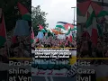 Download Lagu Pro-Palestine activists shine spotlight on Gaza at Venice Film Festival | AJ #shorts