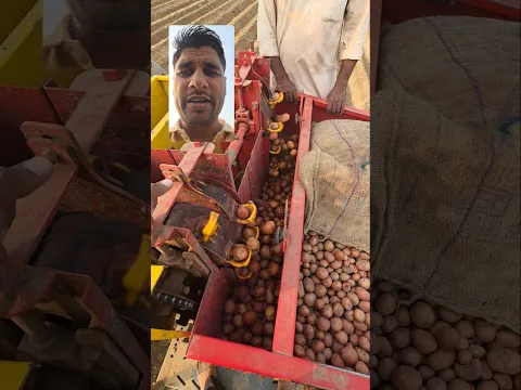 वाइब्रेशन वाली आलू बिजाई मशीन आलू कि खेती कैसे करें
