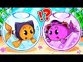 Download Lagu NOS TRANSFORMAMOS EN UNA FAMILIA DE PECES