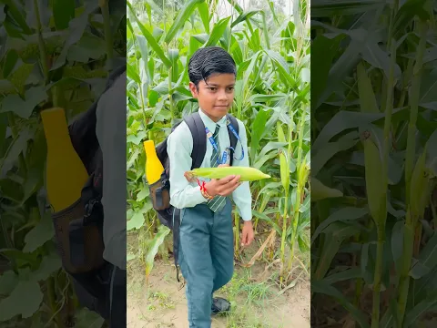 Chandaniya chhup jana re 😍 ||#youtubeshorts #ytshortsindia #bestshortsvideo #viralshorts