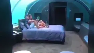 مهرجان حمو بيكا عسل الجبل وغذاء ملكاته 