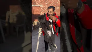 مهرجان بولا وشعبولا  مهرجان بولا وشعبولا