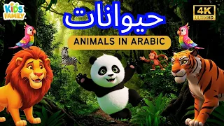 Animal Sounds Animals Names For Kids اصوات حيوانات للاطفال بدون موسيقى اسماء الحيوانات 