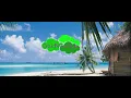 Blackbird Blackbird - Hawaii (Niva Remix)