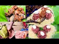 Download Lagu Africa Village Food || Cooking Ghanaian street food WAAKYE / Rice and Beans