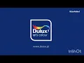 (REUPLOAD) 3 Dulux Logos