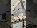 robot wows with its high-precision signature move
