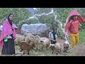 De strijd van een nomadische vrouw op een regenachtige dag | Een hard leven in het hart van bergen🌧