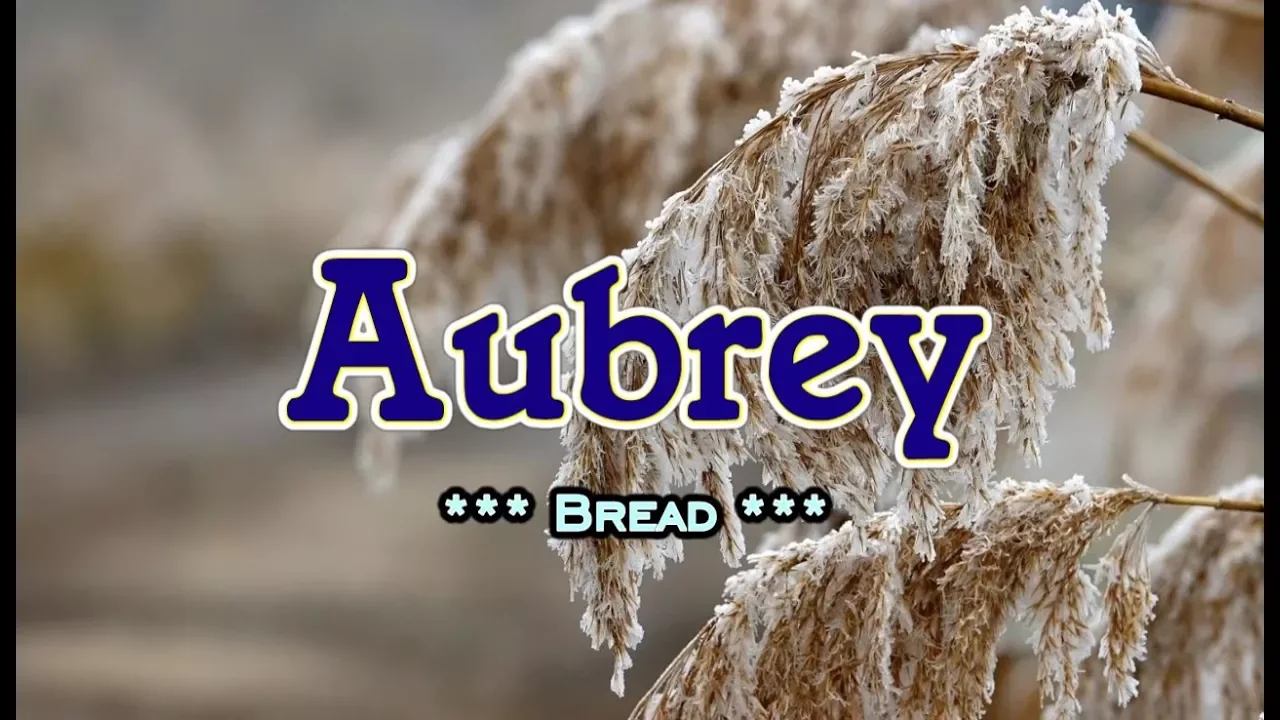 Aubrey - Bread (KARAOKE VERSION) Aubrey - Bread (KARAOKE VERSION)