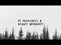 Axel Flóvent - Forest Fires (Lyric Video)