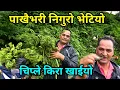 Download Lagu पाखैभरि यति धेरै निगुरो भेटियो | गाउलेहरुले घाँस काटेर बस्तुलाई हाल्ने चलन | खेर गइरहेको हरियो सुन 