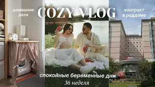 БЕРЕМЕННЫЙ vlog: заключили контракт на роды! мои спокойные дни дома на 36 неделе 🤍