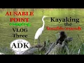 Ausable Point Camping VLOG THREE Kayaking the Ausable Marsh Wildlife graphy More thunder storms