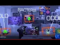 Using BactroKill to Disinfect Living Rooms