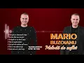 Lagu Mario Buzoianu 💥 Super colaj melodii de suflet