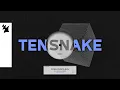 Download Lagu Tensnake - Freundchen (Phil Gerus Remix) [Official Visualizer]