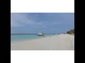 NEGRIL