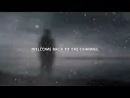Alan Walker x King - Story Of A Bird (Exclusive Updates)