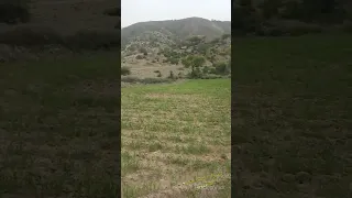 من يبي بالله يفتح لي غلق صدره   مناظر من بلادي دندنها