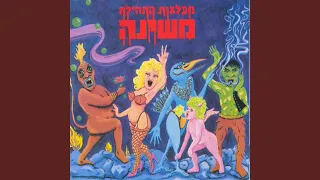 שלומית בונה סוכה 