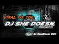 Dj she doesn't mint viral tik tok santuy style Dj trabas by RezaSopan