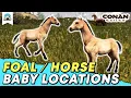 All Foal Locations Where to find Horses - 2026 Guide Conan Exiles