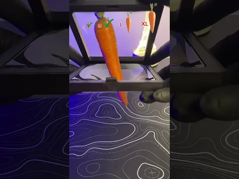Can it fit? 🥕🥕#satisfying