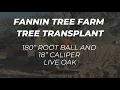 Fannin Tree Farm - Tree Transplant Project Extended Feb 2024