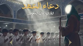 دعاء العهد   مازن المحمود دندنها