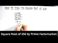 How to Find Square Root of 256 by Prime Factorization Square Root of 256 256 Square Root