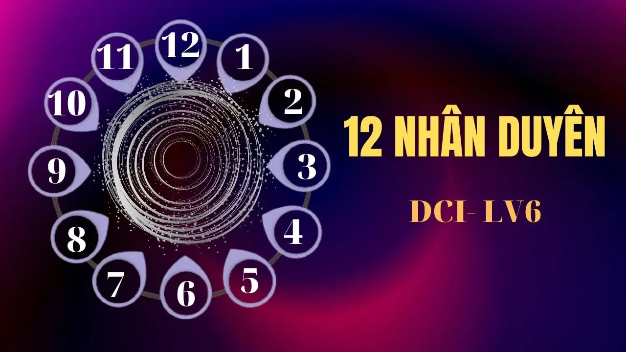 Outline Video 12 nhân duyên- 12 thành phần của 1 chu kì đi xuống | DCI LV6 | Năng đoạn kim cương