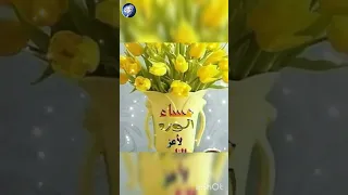 حالات واتس اب مساء الخير مقاطع انستغرام مساء الورد ستوريات مساء الورد صور مساء الخير مسائية قصيرة 