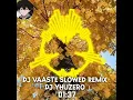 Download Lagu DJ Vaaste Slowed Remix ( DJ YhuZero )