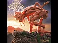 Cattle Decapitation - A Photic Doom