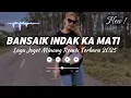 Download Lagu LAGU JOGET MINANG BANSAIK INDAK KA MATI REMIX TERBARU 2025 VIRAL TIK TOK