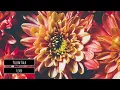 Lexer - Pillow Talk