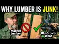 The REAL Reason Modern Lumber Is So Bad Here s The Old Logger s Solution