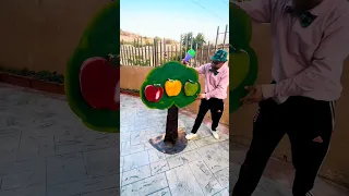                                                                                          دندنها